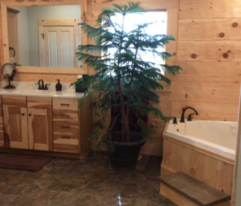 Hogan Creek Master Bath